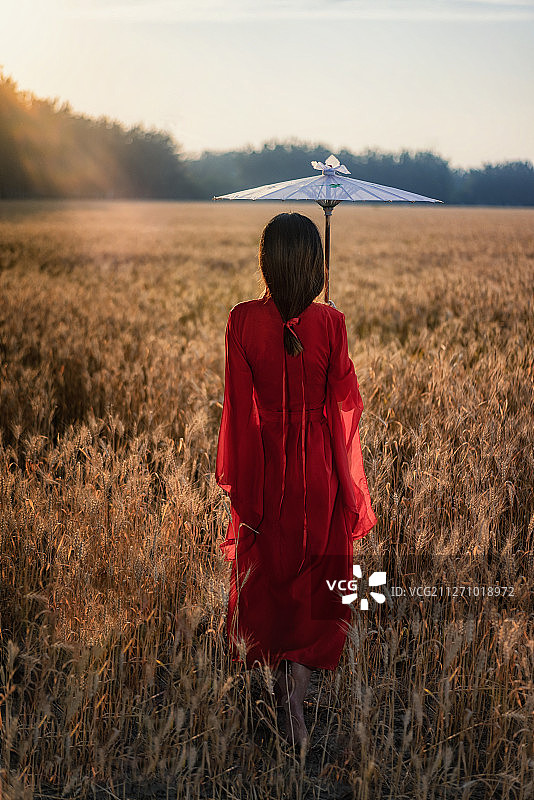 麦田里的红裙女人图片素材