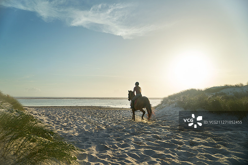 年轻女人在阳光明媚的海滩上骑马图片素材