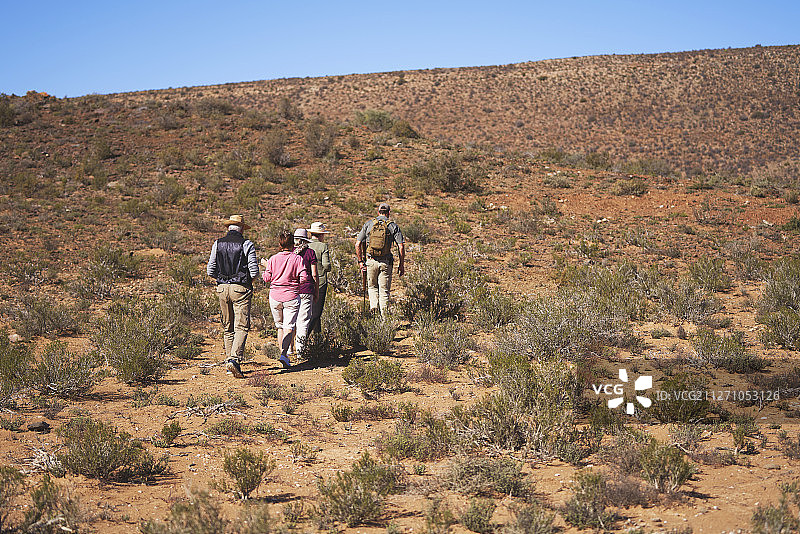 野生动物园导游带领团队沿着阳光明媚的南非草原前行图片素材