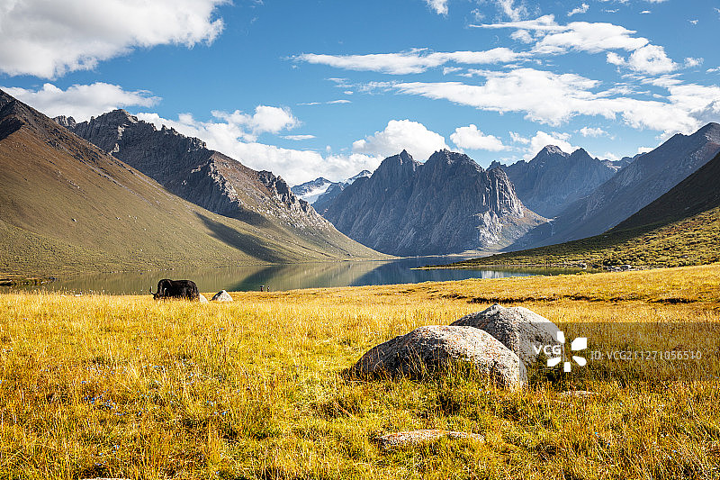 青海年保玉则风光图片素材