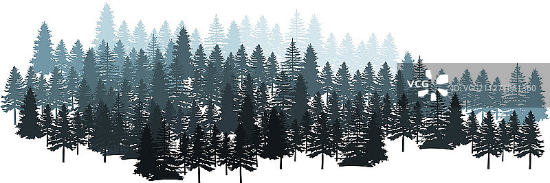 针叶林剪影景观图片素材