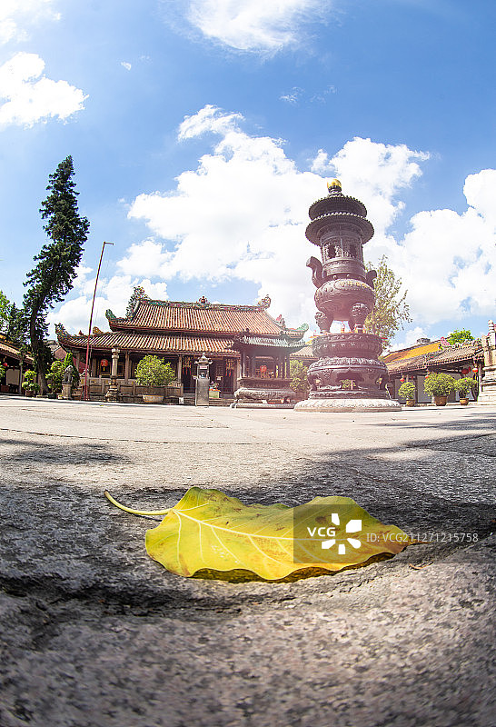 广济寺与落叶图片素材