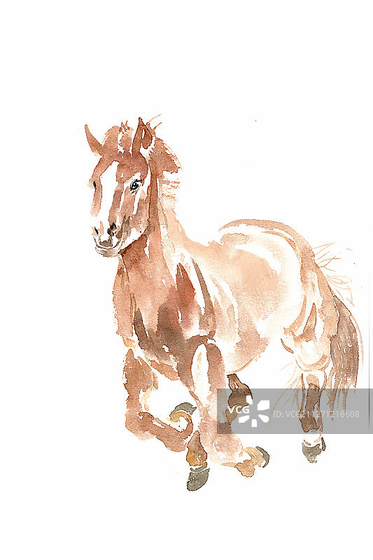 奔腾的马图片素材