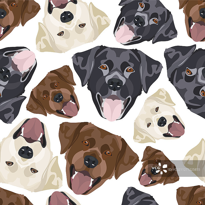 无缝图案拉布拉多犬混合设计图片素材