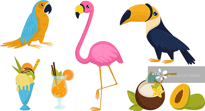 热带国家异域风情元素合集图片素材