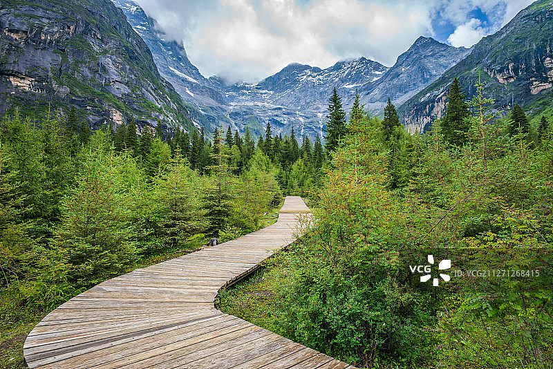 四川阿坝四姑娘山双桥沟木栈道图片素材
