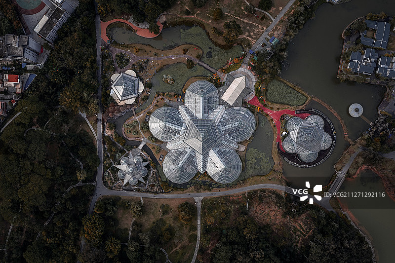 华南植物园图片素材