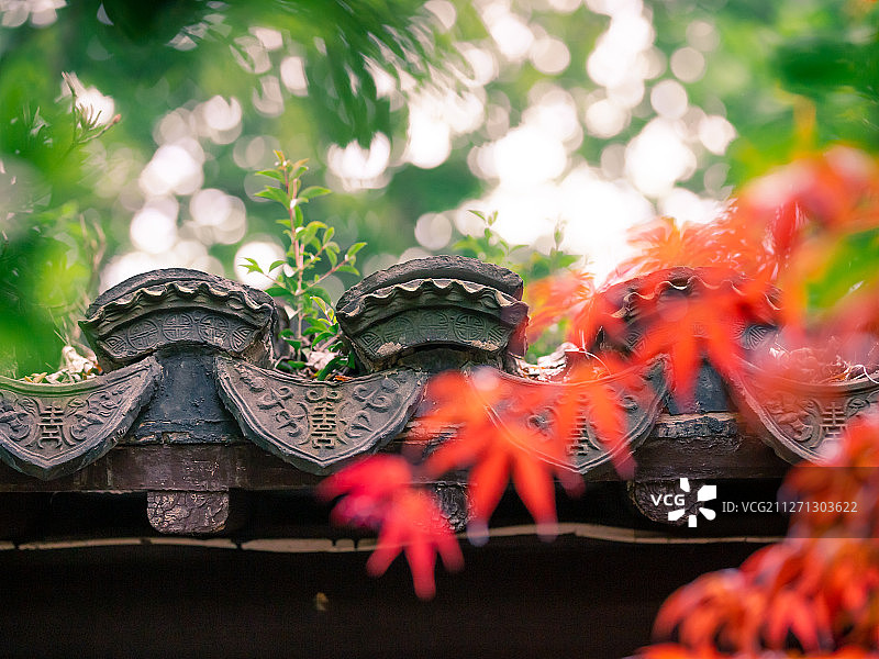 红叶与黛瓦图片素材