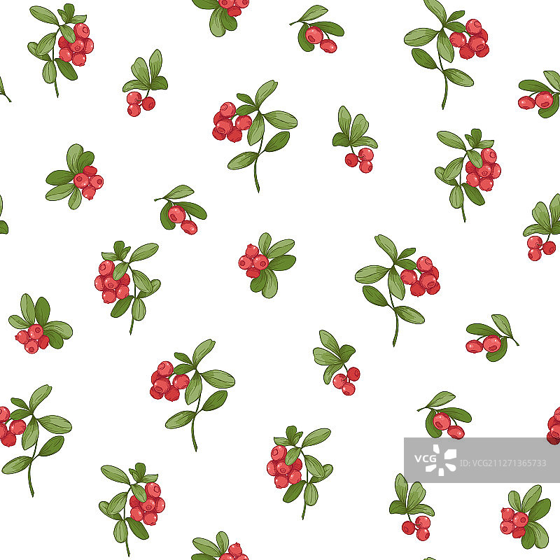蔓越莓无缝图案图片素材
