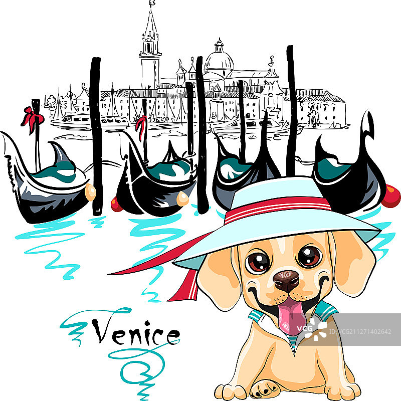 在威尼斯的可爱拉布拉多犬图片素材