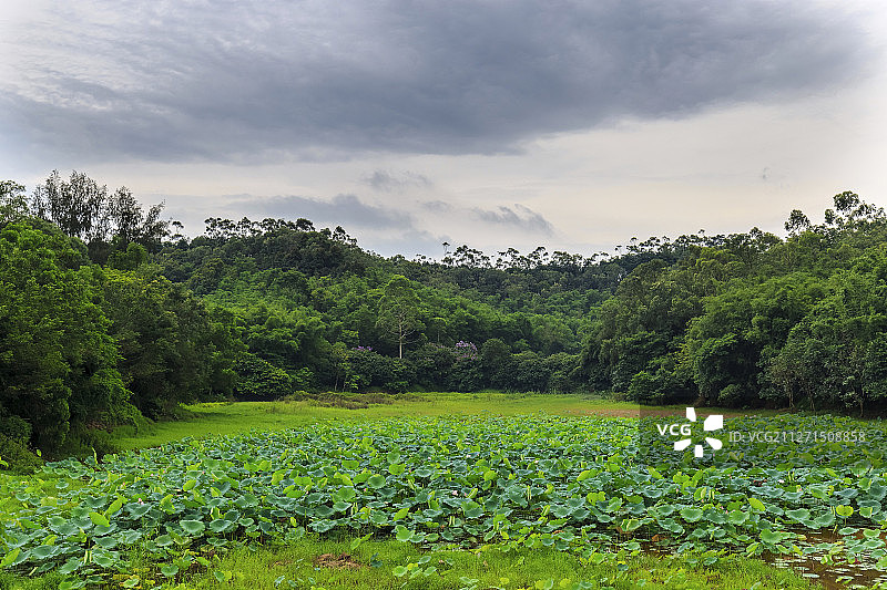 东莞同沙水库风光图片素材