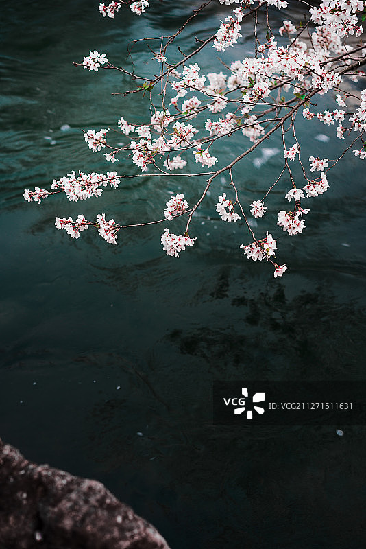 落花流水图片素材