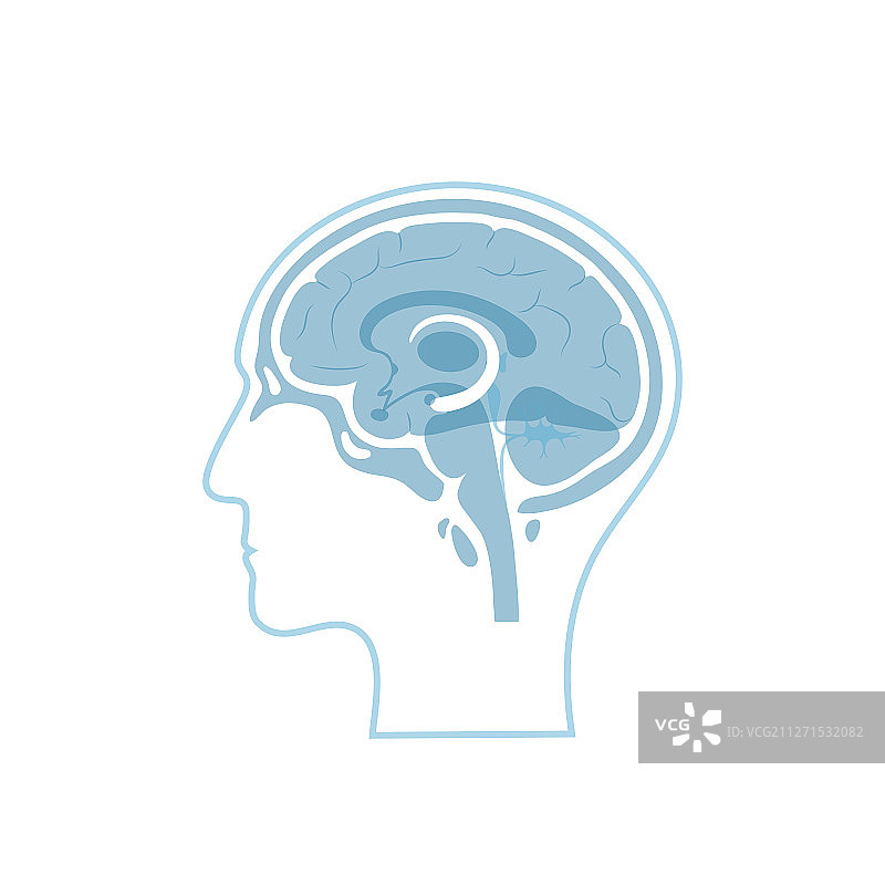孤立的海马体图片素材