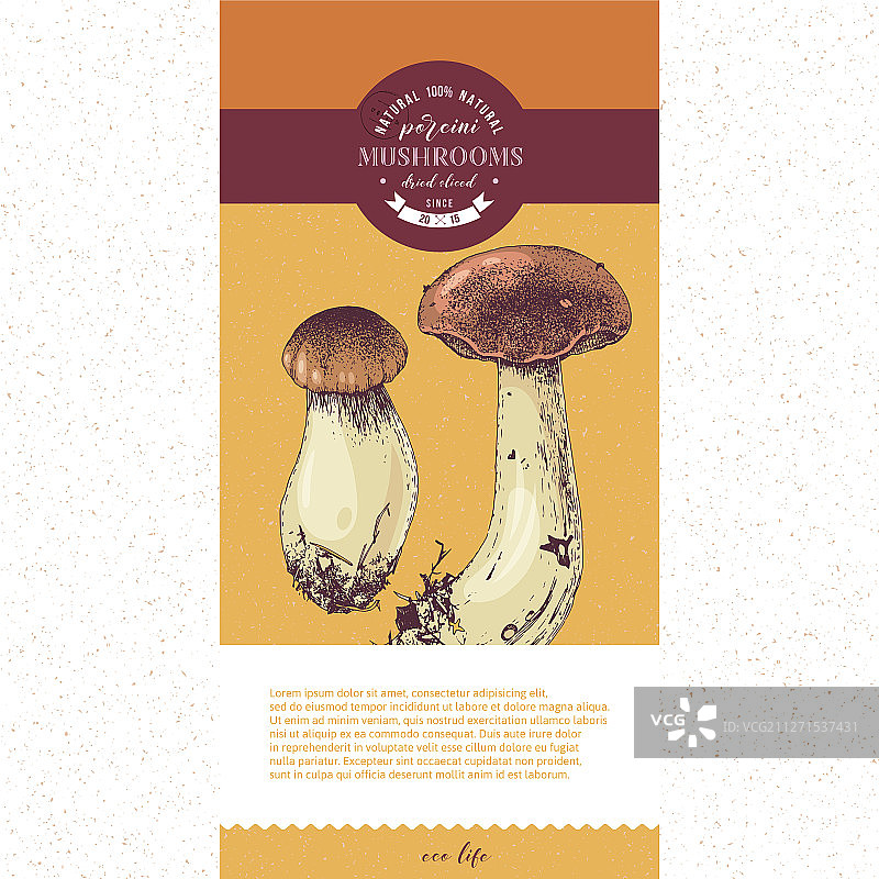 干切牛肝菌包装设计图片素材