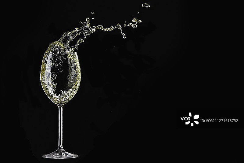 装有白葡萄酒的玻璃杯的影棚照片图片素材