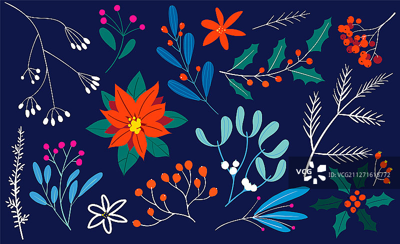 冬季圣诞装饰花卉套装图片素材