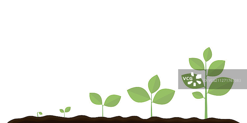 种植树苗园艺信息图图片素材