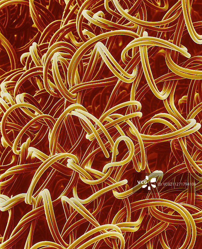 连裤袜图片素材