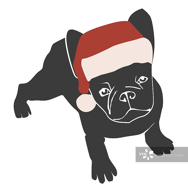 戴圣诞帽的可爱斗牛犬图片素材