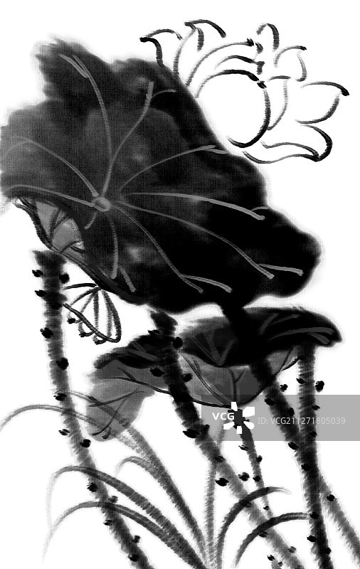 写意荷花图片素材