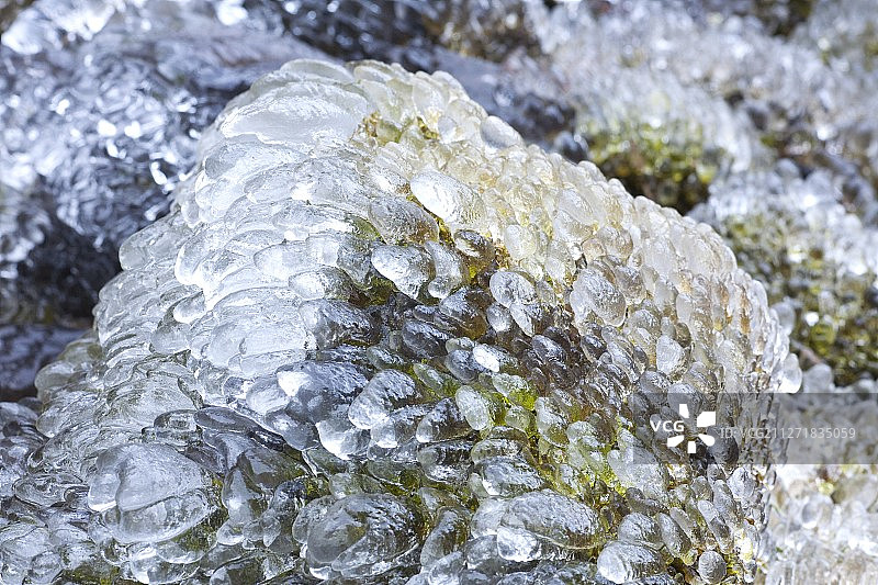冰暴后冰覆盖的苔藓和岩石图片素材