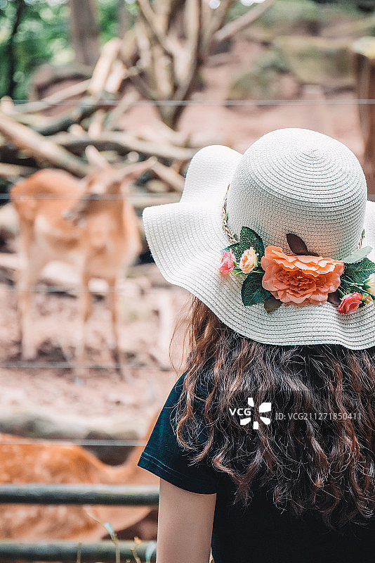 在动物园看梅花鹿的女孩图片素材