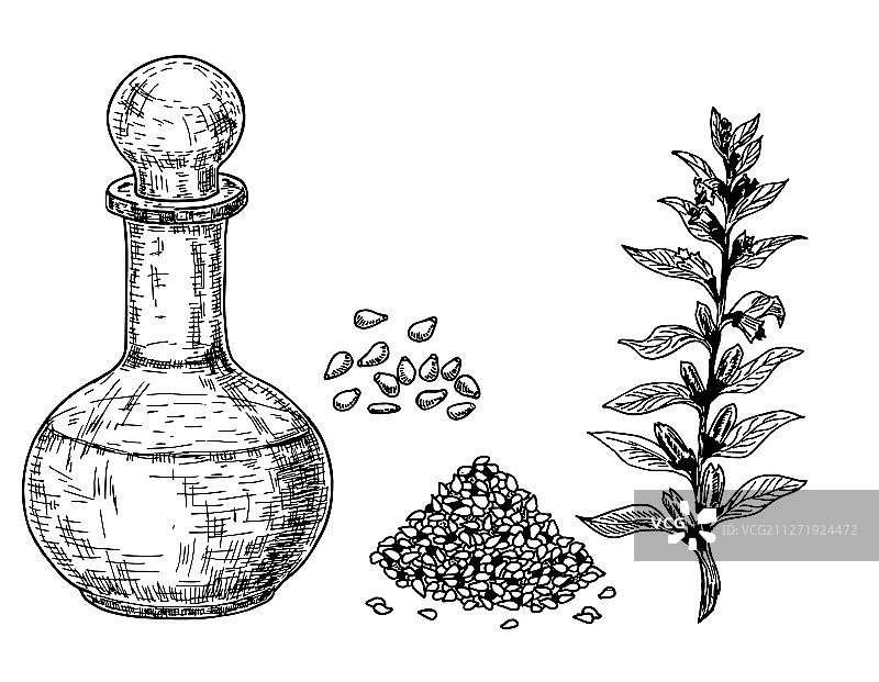 手绘芝麻油图片素材