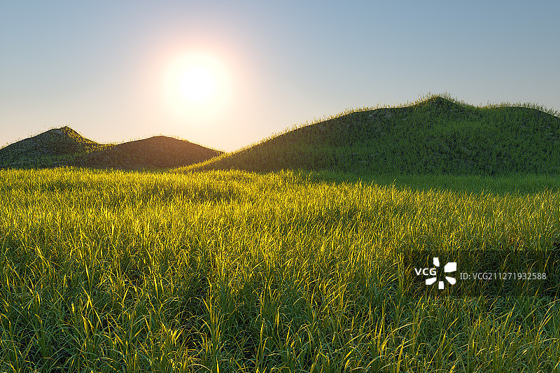 阳光照射下茂密的草原 三维渲染图片素材