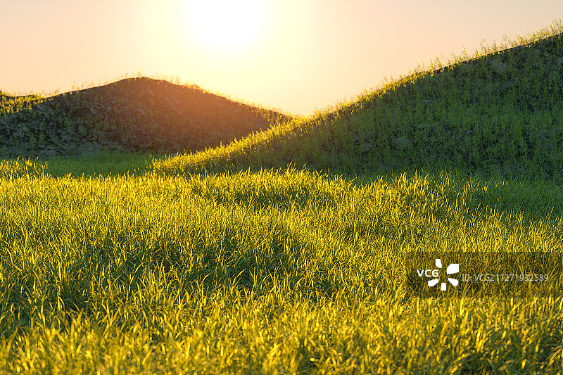 阳光照射下茂密的草原 三维渲染图片素材