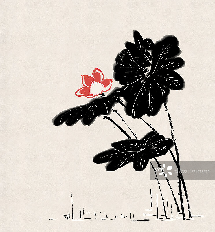 水墨荷花图片素材