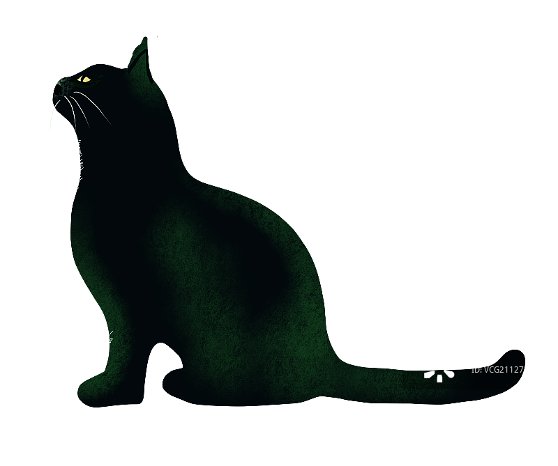 黑猫图片素材