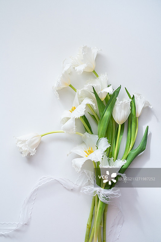 有花的日子图片素材