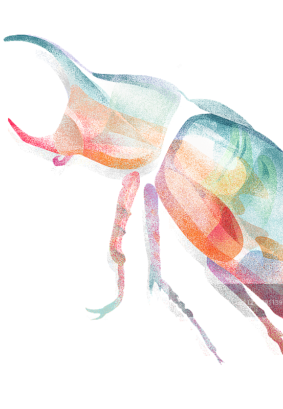 彩色透明质感惊蛰节气昆虫插画元素图片素材