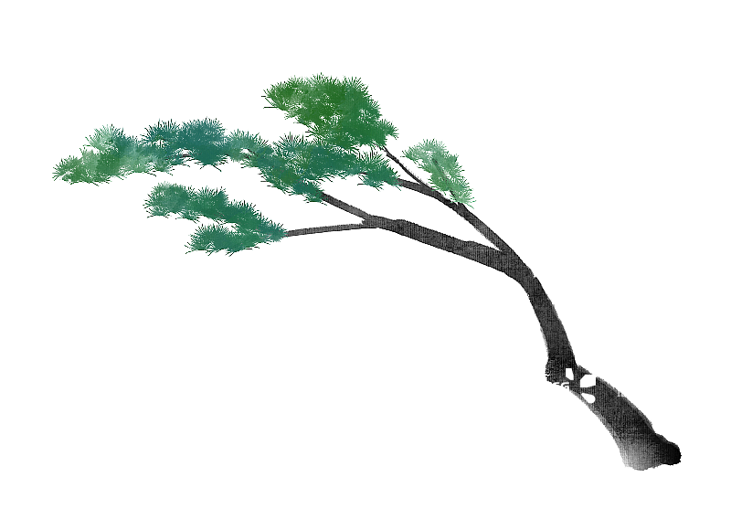 中国风水墨画松树枝图片素材