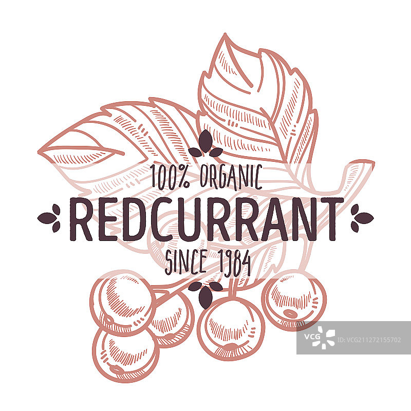 带有有机字母的孤立红醋栗图标图片素材