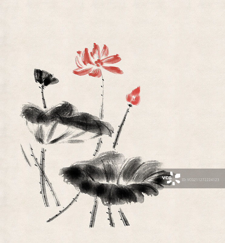 水墨荷塘图片素材