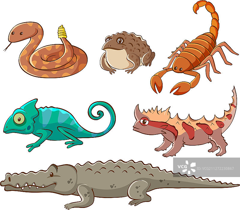 有毒动物照片图片素材