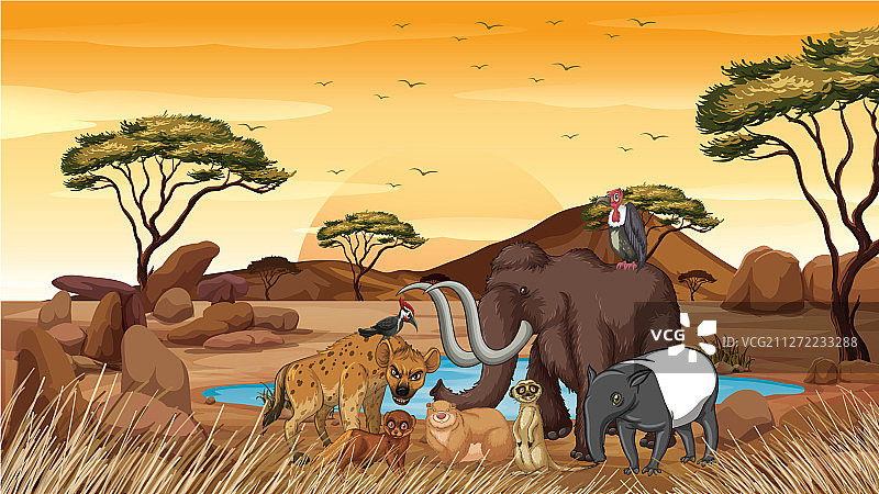 热带草原上的动物场景图片素材