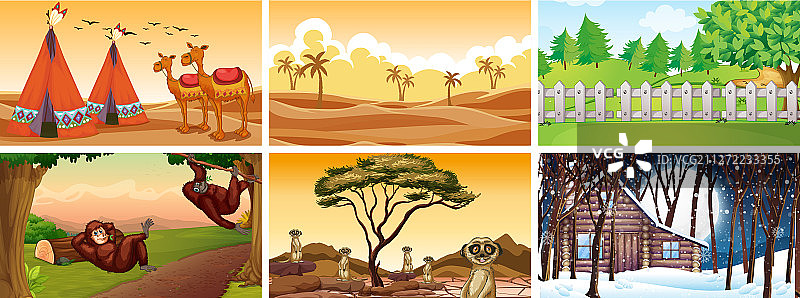 动物与自然的不同场景图片素材