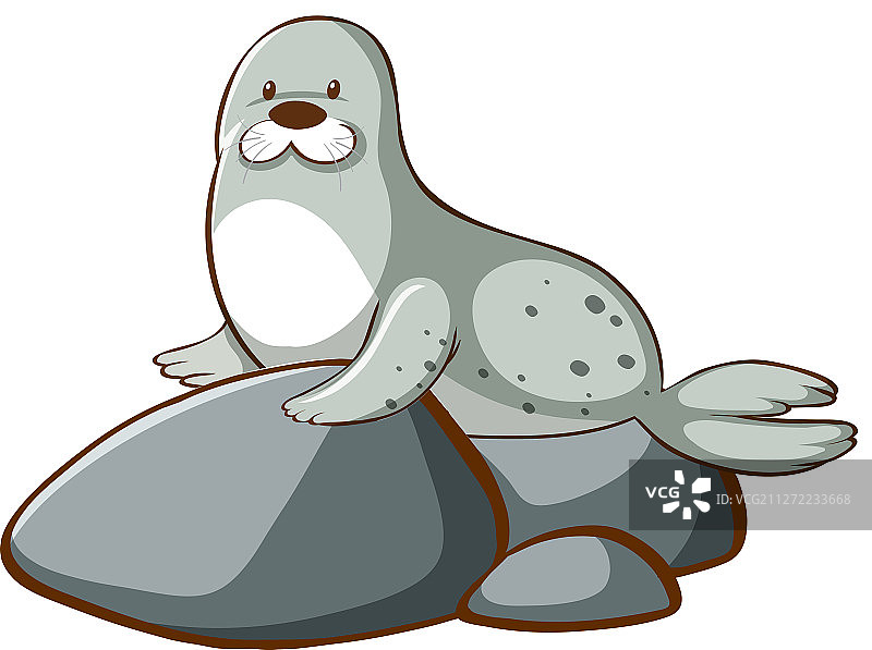 可爱的海豹图片图片素材