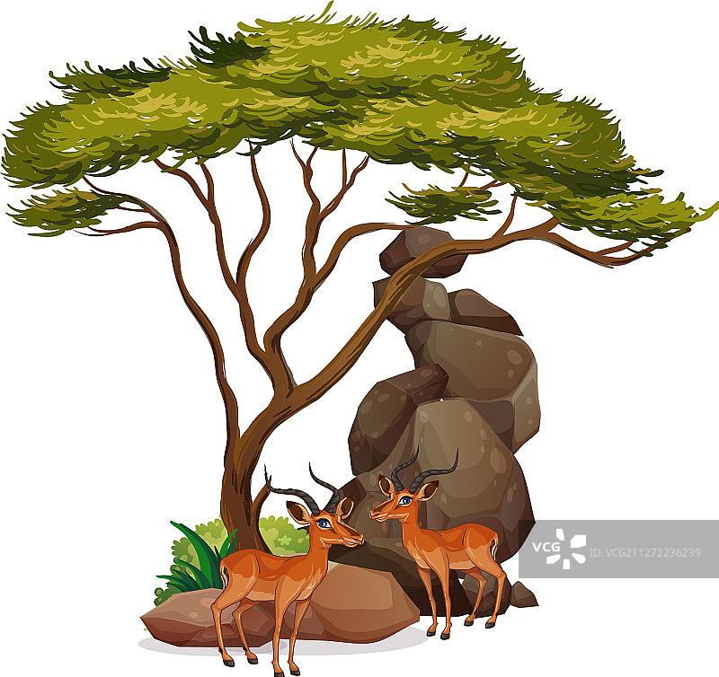 树下的瞪羚图片图片素材