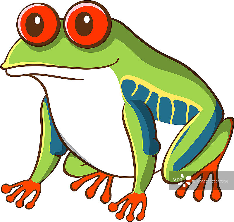 白色背景上的红眼绿青蛙图片素材