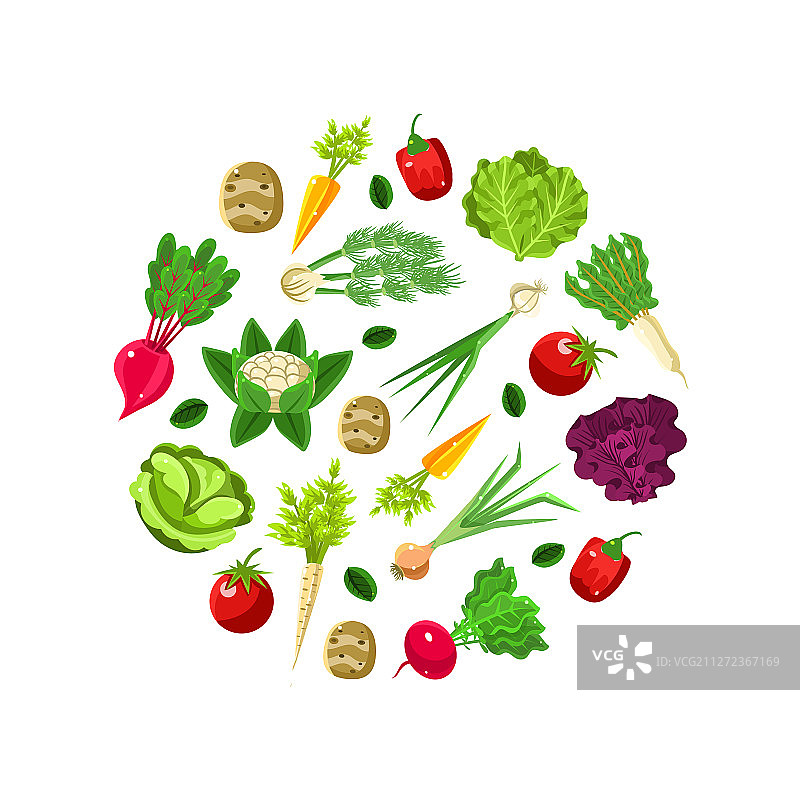 圆形树根图案图片素材