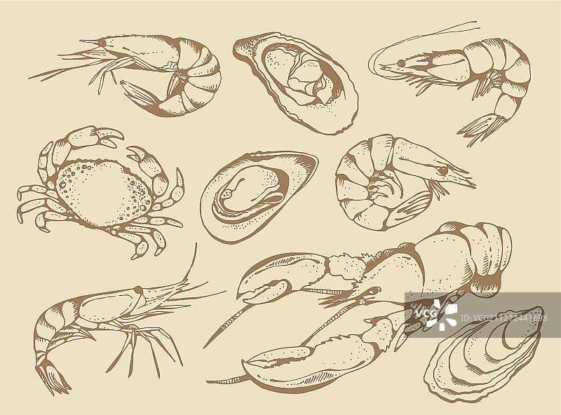 海鲜套餐合集图片素材