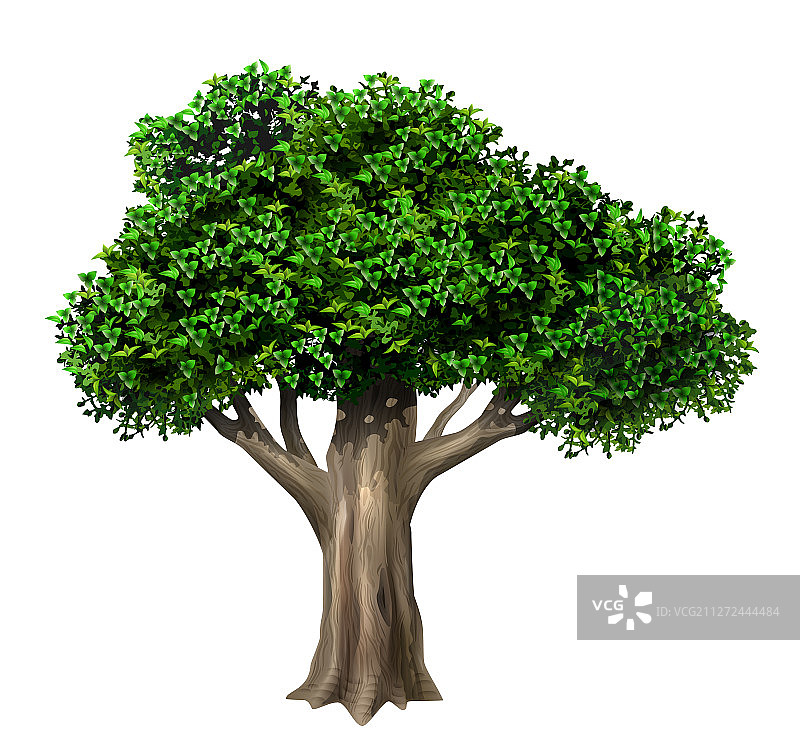 逼真古老的大橡树图片素材