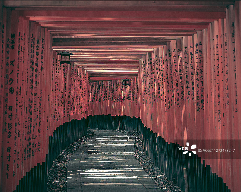 千本鸟居图片素材