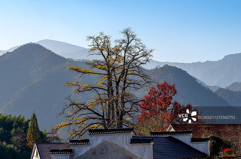 指南村的秋色图片素材