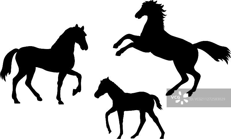 马的家庭剪影图片素材