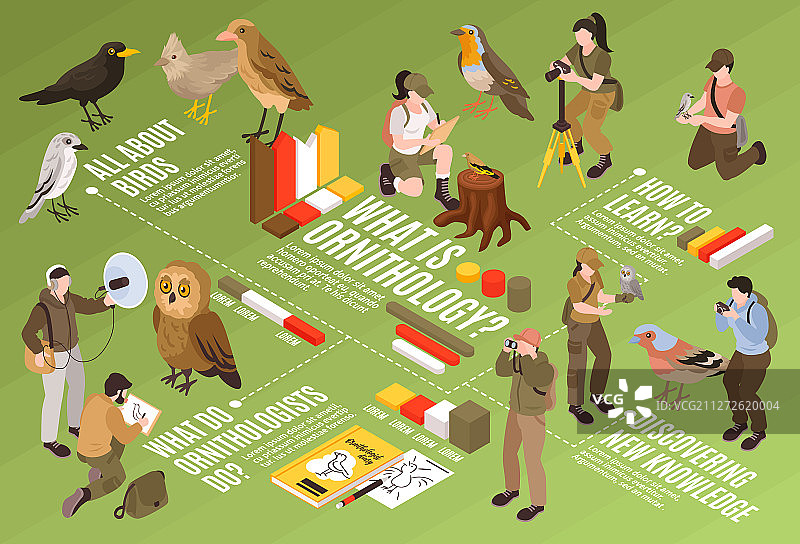 鸟类学家2.5D流程图图片素材