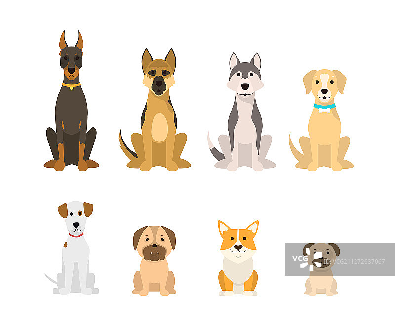 卡通彩色犬种图标集图片素材